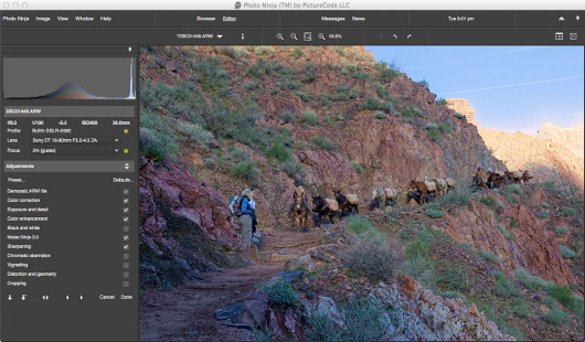Photo Ninja: обработчик файлов в формате Raw