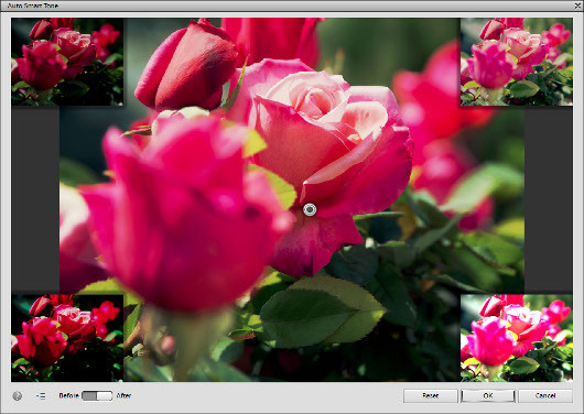 Photoshop Elements 12: мобильные альбомы и впечатляющие эффекты
