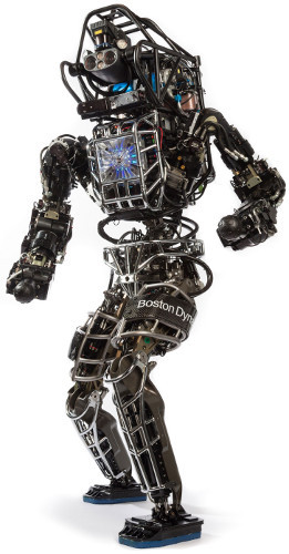 События месяца