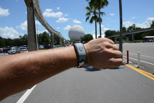 Волшебные браслеты Диснейленда