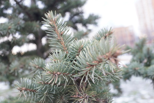 Высший уровень