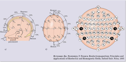 Идентификация по электроэнцефалограмме