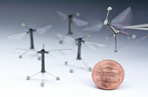 В Гарварде создали электронного летающего жука 