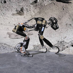 Робот-обезьяна передвигается подобно живым приматам 