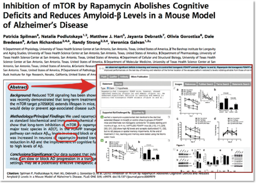 Первоклассные объекты Всемирной паутины