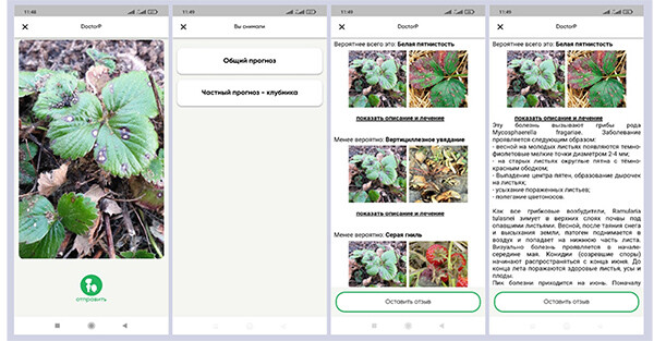 Искусственный интеллект против болезней растений