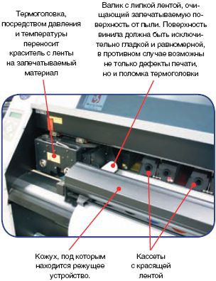 Широкие возможности  в узкой нише 
