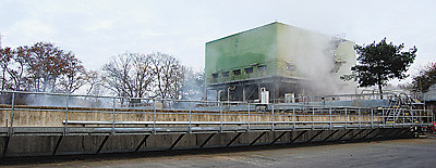 UPM Nordland: 60 гектаров качества