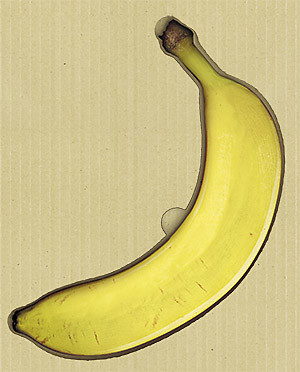 Мир цифровой упаковки –  будущее уже здесь!