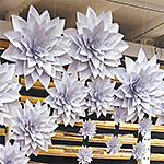 Бумага UPM DIGI: выразительность самого белого