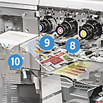 Заметная эволюция