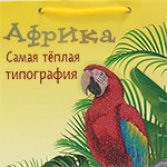 Цифровой «гепард» Ricoh в «Африке»