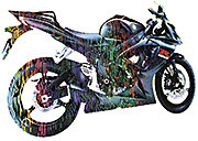 География экспансии Ricoh