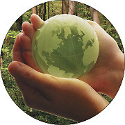 FSC: бумажная этика будущего