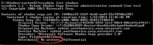 Выполнение команды VSSAdmin (модули записи не используются)