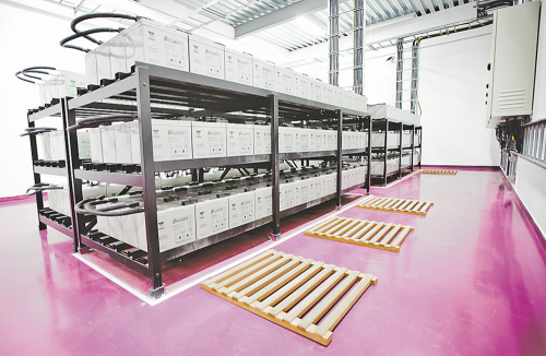 В аккумуляторной самое примечательное …цвет пола. В полном соответствии с корпоративной расцветкой Linxdatacenter.