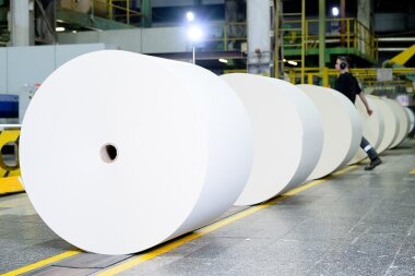 Продукты сыктывкарского ЛПК получили дипломы конкурсов «100 лучших товаров России» и «Лучшие товары и услуги Республики Коми» 