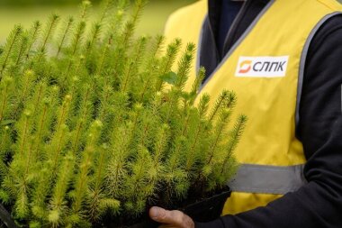 Сыктывкарский ЛПК прошел аудит сертификации по системе НСЛС