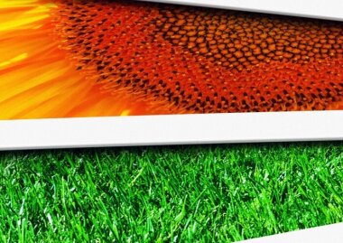 Konica Minolta выпустила вторую версию пакета ПО AccurioPro Color Manager