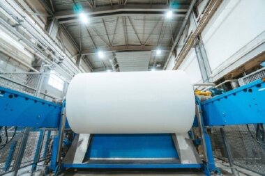 Мелованные картоны «КАМА» прошли тестирование на биоразлагаемость