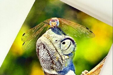 «Дубль В» начала поставки синтетической бумаги Uno SP