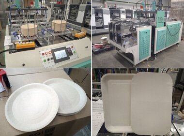 Пресс для формовки бумажных тарелок установлен в OSQ Group