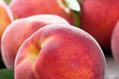 «ОктоПринт Сервис» анонсирует начало поставок матового УФ-лака с софт-тач эффектом.