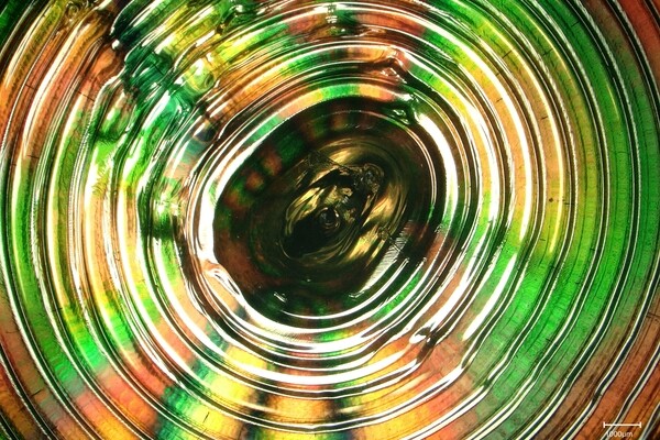 Навеянный природой метод 3D-печати позволяет выстраивать объекты быстрее, чем растет бамбук