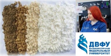 В ДВФУ разработан проект экологичного отбеливания целлюлозы