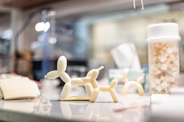 Новый процесс 3D-печати может изменить пеноматериалы