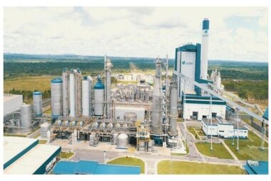 Бумагу из камыша будут производить в Казахстане