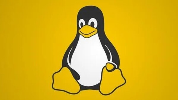 Доля Linux растет в США — и сокращается в Индии