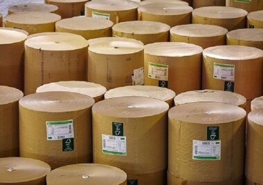 Предприятия целлюлозно-бумажной промышленности просят о господдержке