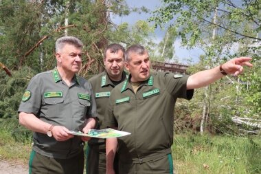 Еще один целлюлозно-картонный комбинат построят в Беларуси 