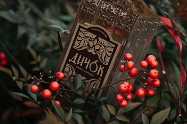 Этикетка и упаковка в работах студентов Школы дизайна НИУ ВШЭ