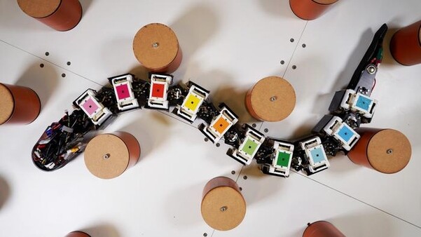 Робот-угорь подтверждает теорию эволюции