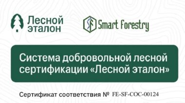 «Петробумага» получила «Лесной эталон»