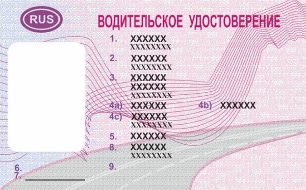 Минцифры предлагает приравнять цифровые водительские права к бумажным