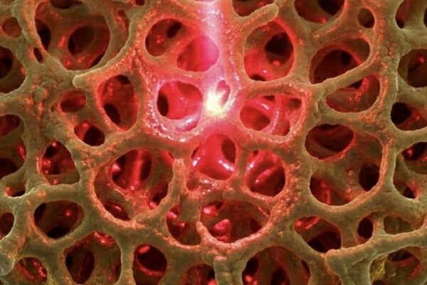 Изменение физической структуры золота наделяет его новыми электронными и оптическими свойствами