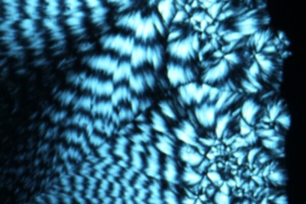 Исследователи заимствуют идеи для систем хранения будущего из биологии