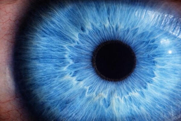 Искусственная кожа позволяет роботу «ощупывать» предметы на расстоянии