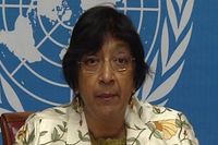 В ООН обеспокоены давлением на WikiLeaks