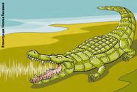 Защищенность и ее значение для техники СКС