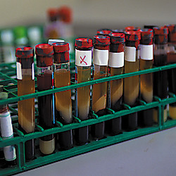 Централизация опаздывает