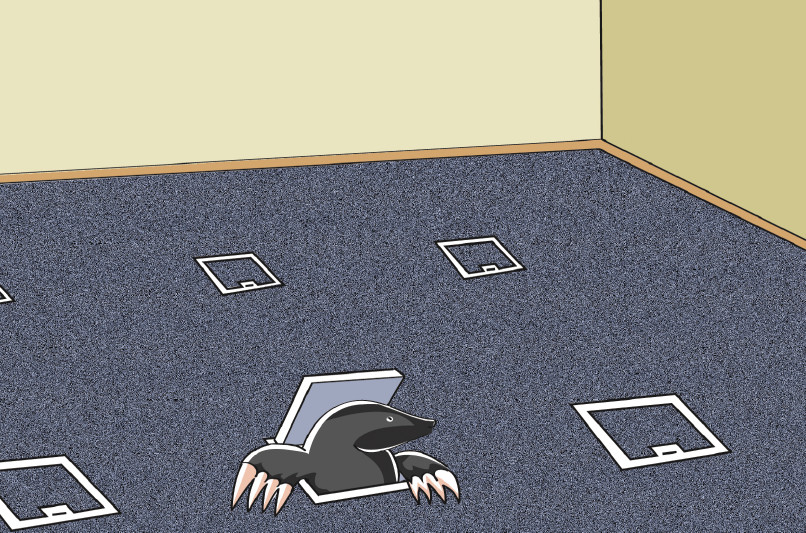 СКС для открытых офисов