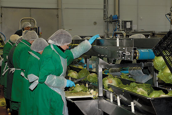 ИТ повседневного спроса