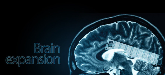 Ученые создали 