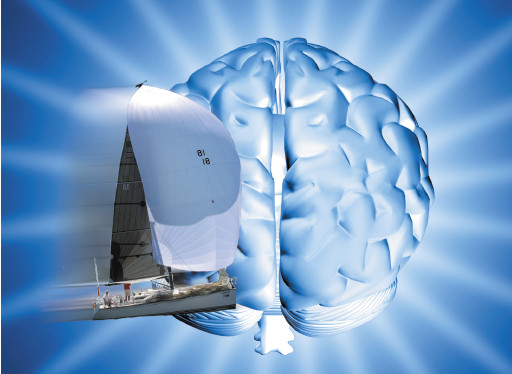 Курс на тайны мозга