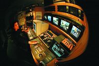 На столе и под столом