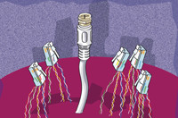 Универсальность СКС в контексте эффективности ее использования